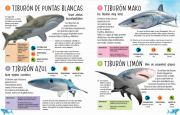 101 tiburones 2