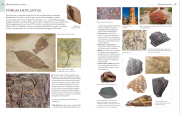 Enciclopedia minerales 5