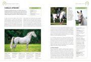 Enciclopedia il. caballo 5